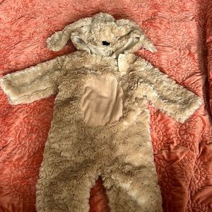 Pottery barn puppy costume